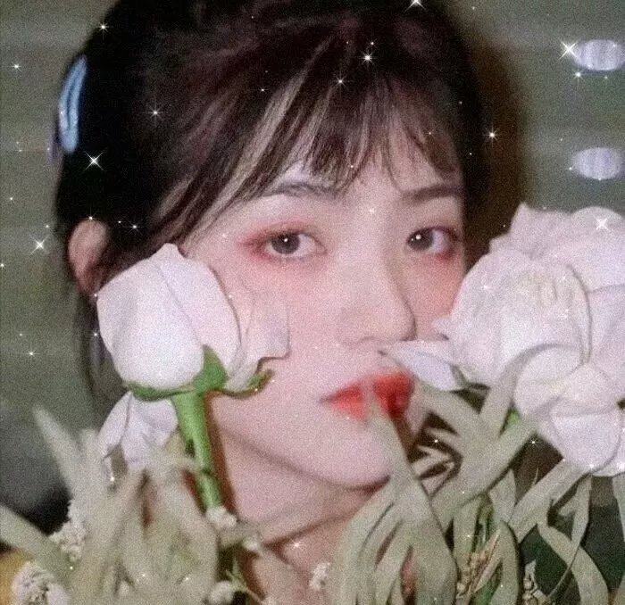 最终试验鲸鱼
