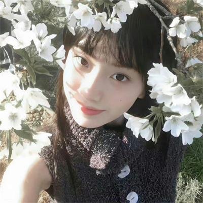 我的家政夫渚先生